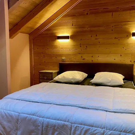 Spacieux Duplex Lumineux A 250m Des Pistes, Animaux Admis - Fr-1-811-5 *